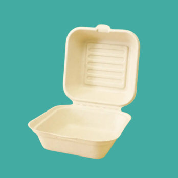 Clamshell de Bagazo de Caña Compostable sin Divisiones Blanco 6 Pulgadas